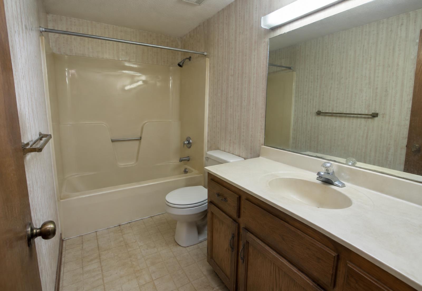 Bellaire Primary Bath before construction